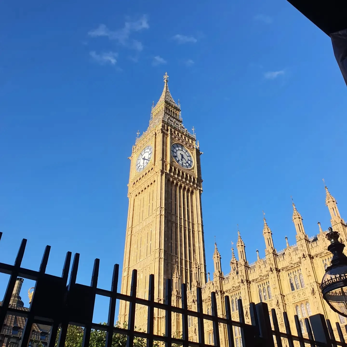 1766-80196297617986609104061816662864584361347886n-17906784677513.jpg
