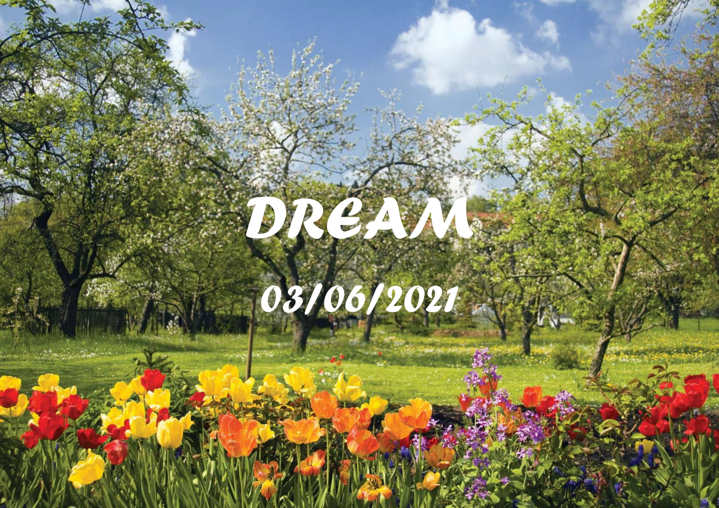 394-june-2021-newsletter-dream-heritage-cic-01.jpg