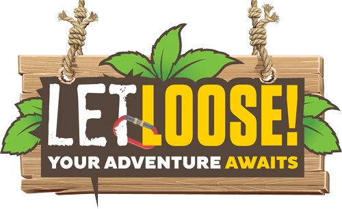 923-let-loose-website-logo-17206097767336.png