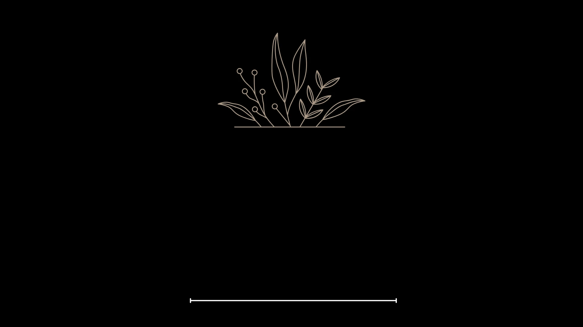r159-copy-of-edified-life-2-17810701546203.png
