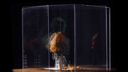 355-cathexis9-2.gif