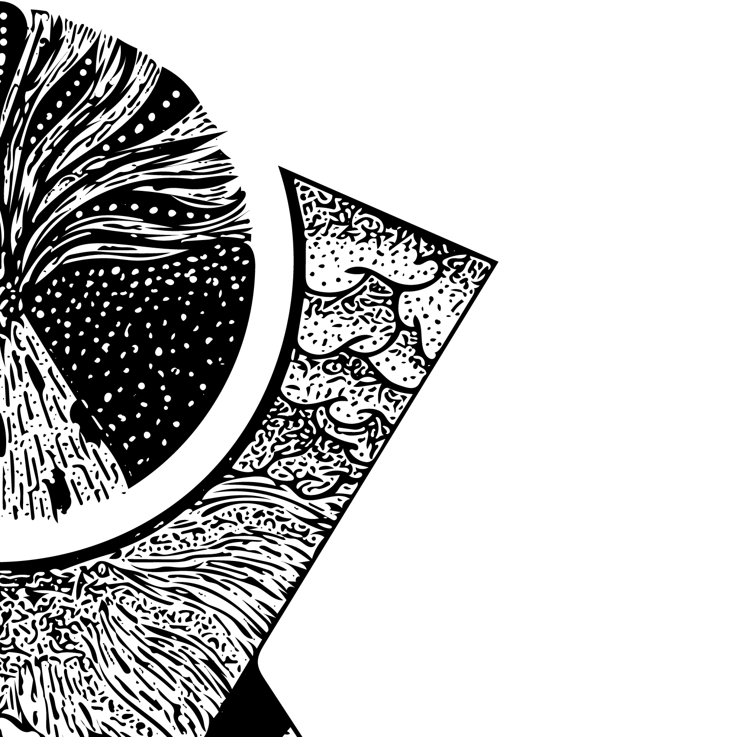 295-2-16315267389461.png