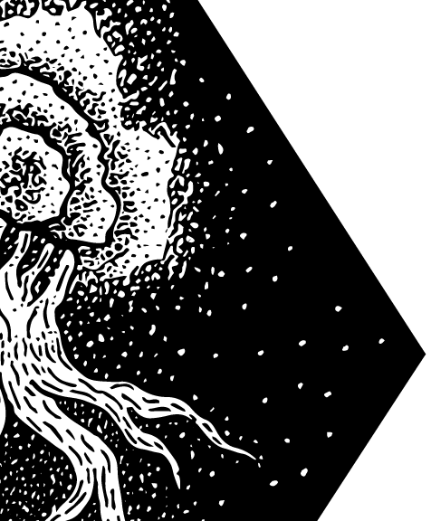 30476576466-3-16328452735.png
