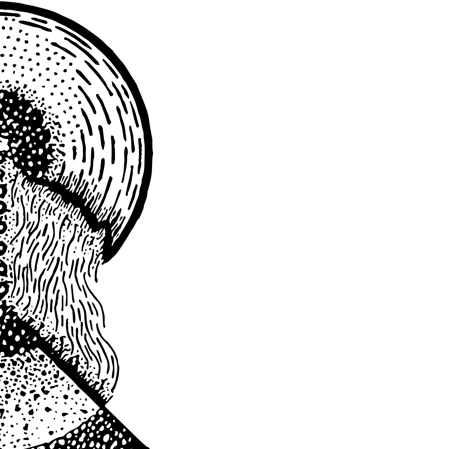 353-4-16318772432067.png
