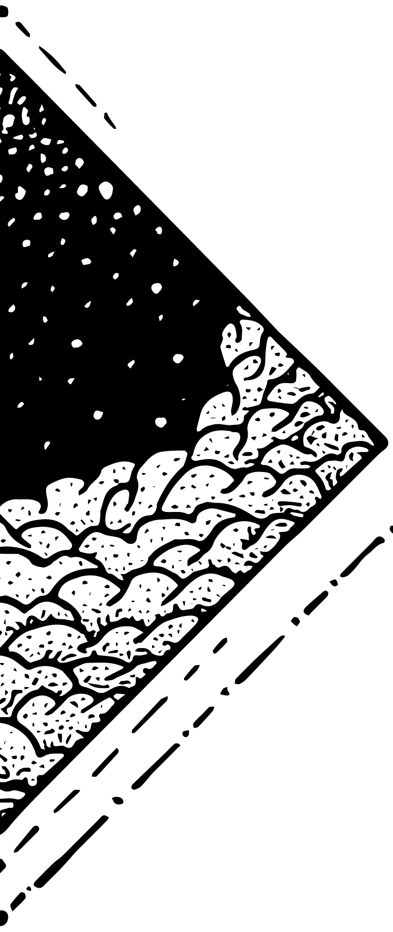 432-3-16328388617251.png