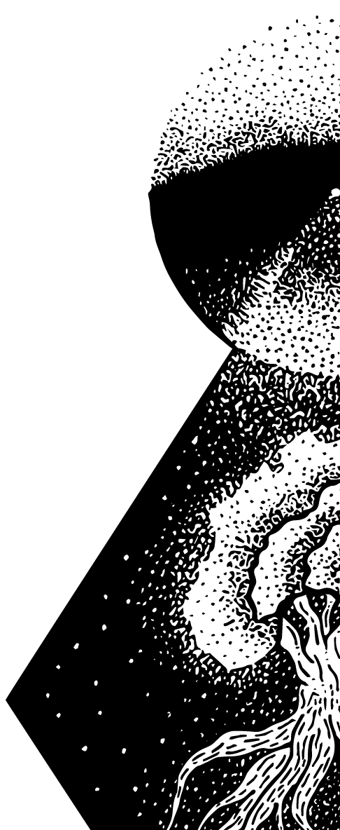 464-1-16328452742511.png
