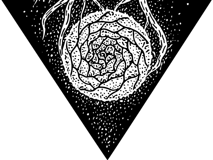 467-4-16328452736158.png