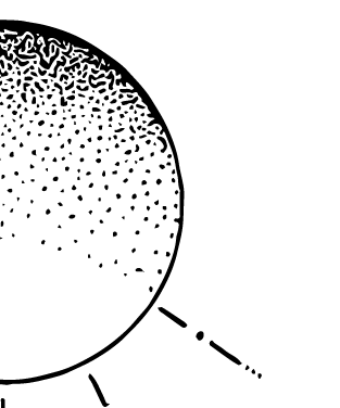 493-2-16329005604408.png