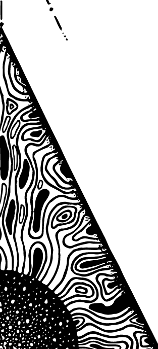 494-3-16329005604365.png