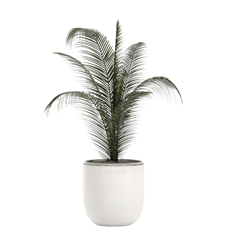 715-image-from-ios-8-1-1-1.png