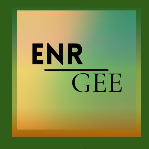 Enr-gee