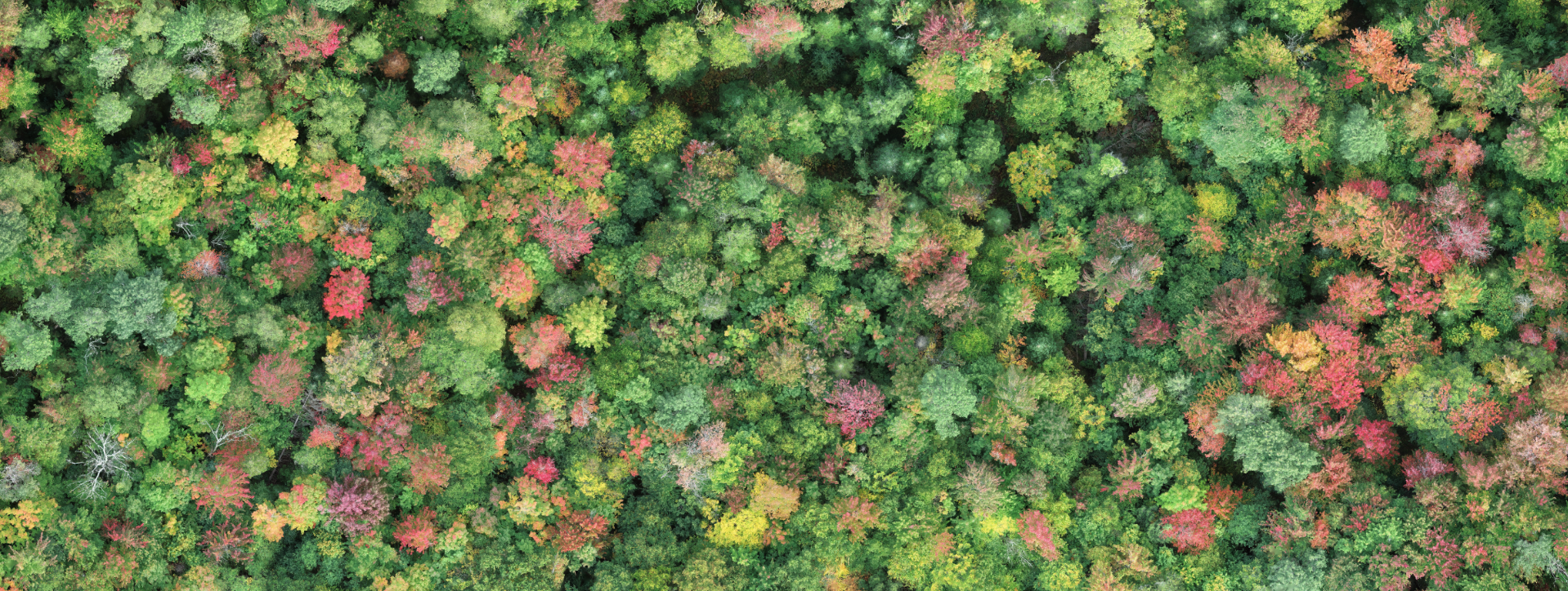 1659-744-capturedrone2png.png