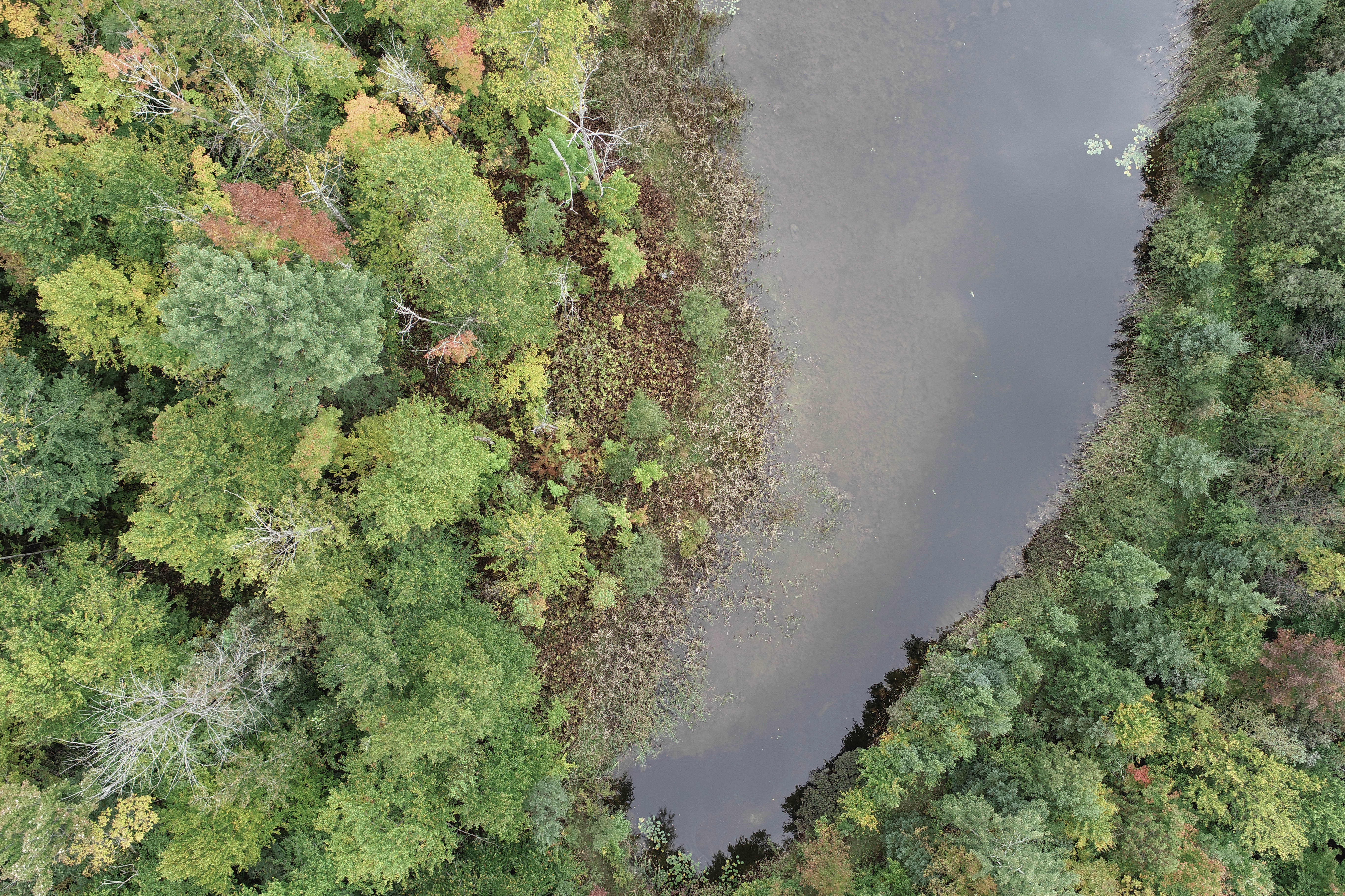 666-261-261-r173-etang.jpg