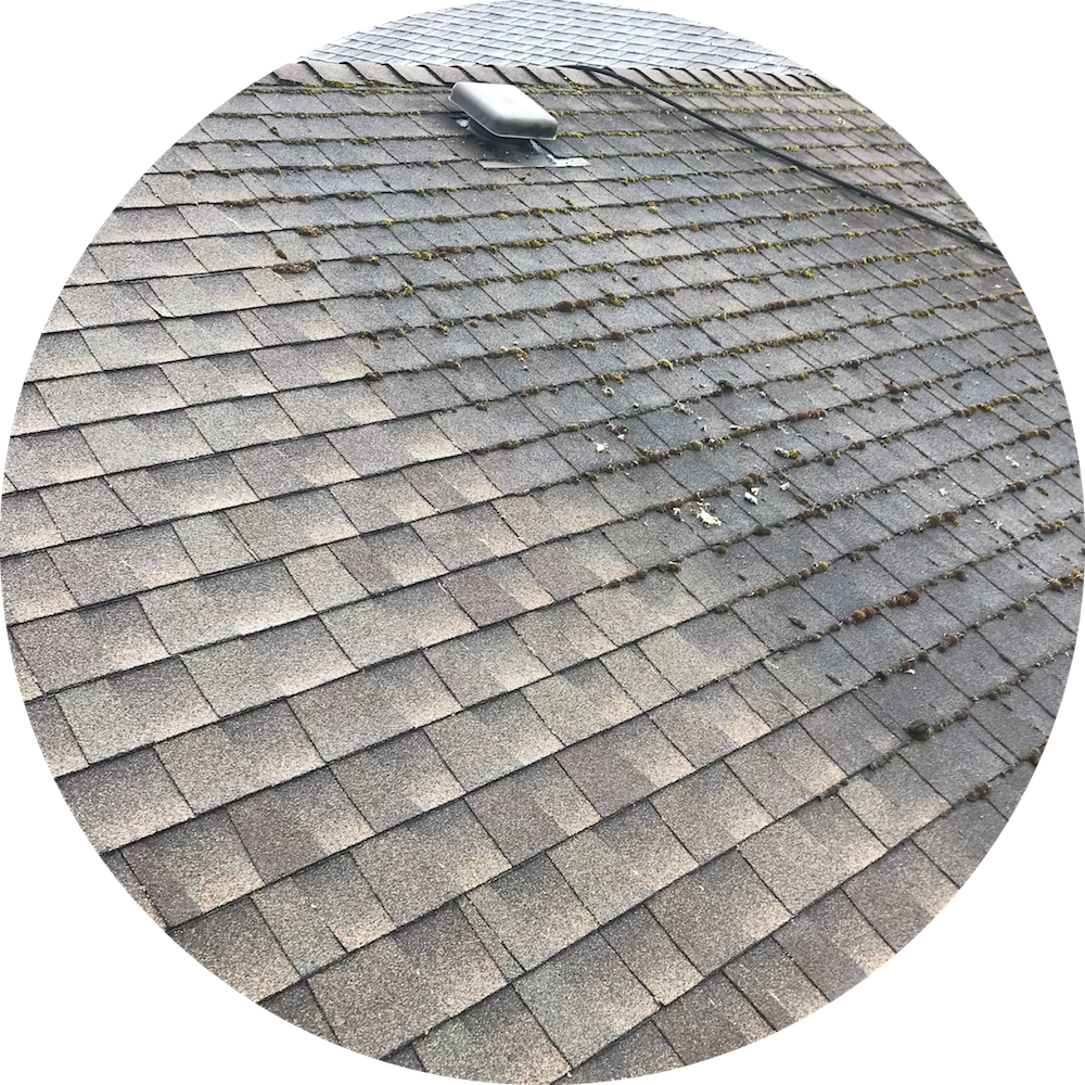 00100020001049-roof-cleaning-circular.png