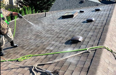 0161481313634-low-pressure-moss-removal-and-softwash-treatment-on-asphalt-shingle-roof-in-rent.png