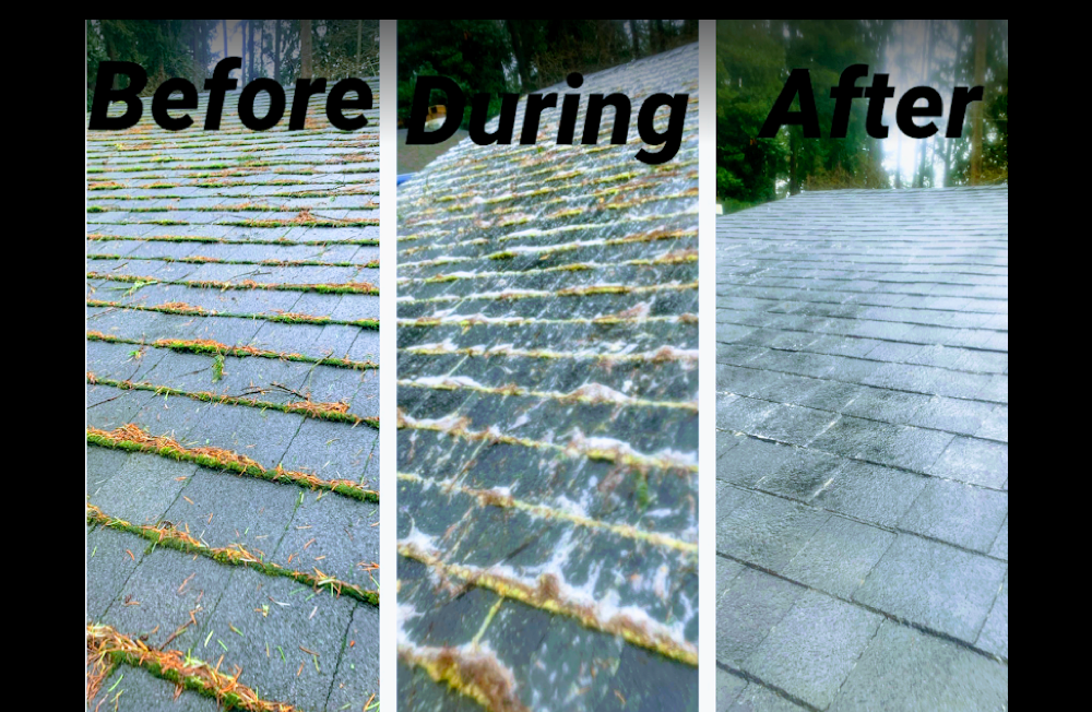 Low pressure moss removal and softwash treatment on asphalt shingle roof in Kent, Auburn, Covington, Des Moines, Federal Wa, Maple Valley