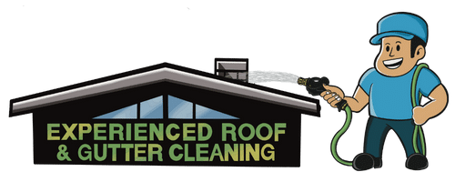 Experienced Roof & Gutter Cleaning King County