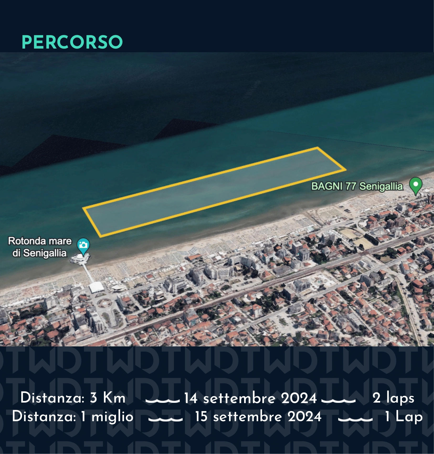 1314-dtw-senigallia-2024---bollettino-info-4-17241445697719.png