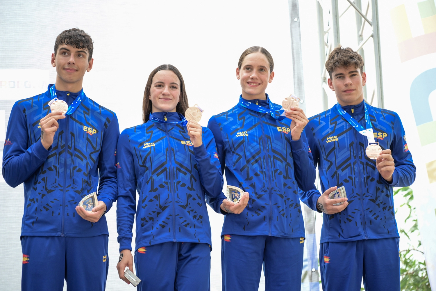 1833-fc74569-17259548614683.jpg