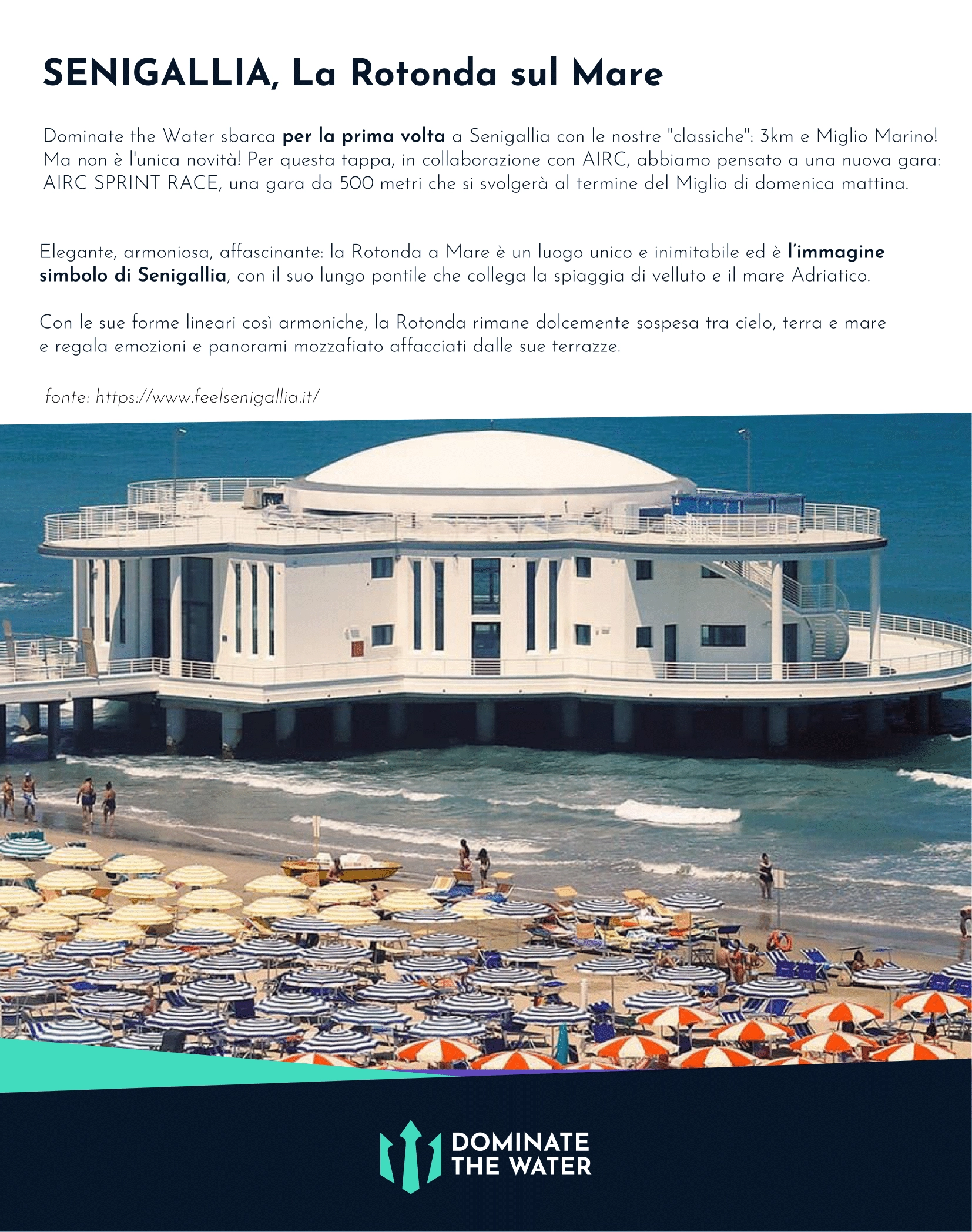 831-dtw-senigallia-2024---bollettino-info-2-17241445401045.png