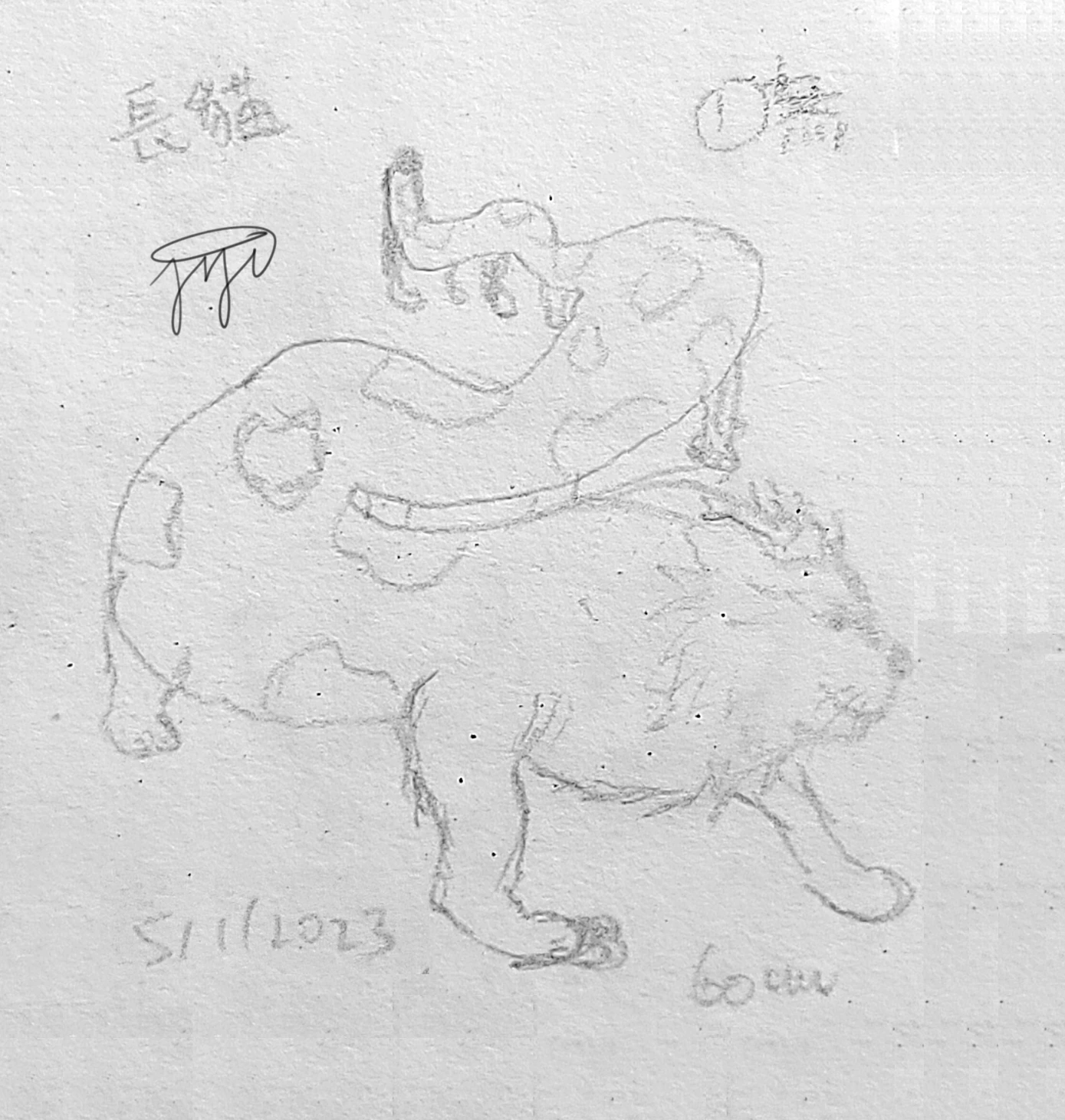 【Tiglong】0046