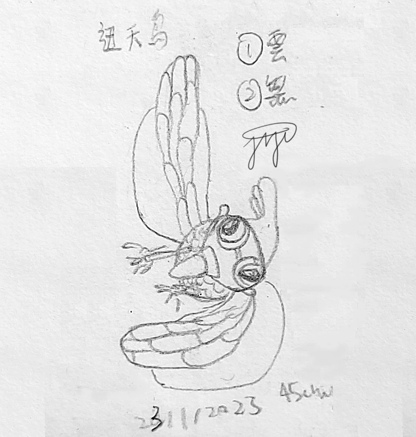 【Cloudwing】0065