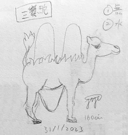 【Triplehump】0074