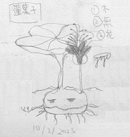 【lotubaby】0084