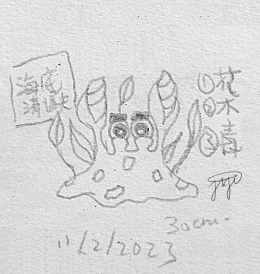 【Seascavenger】0085