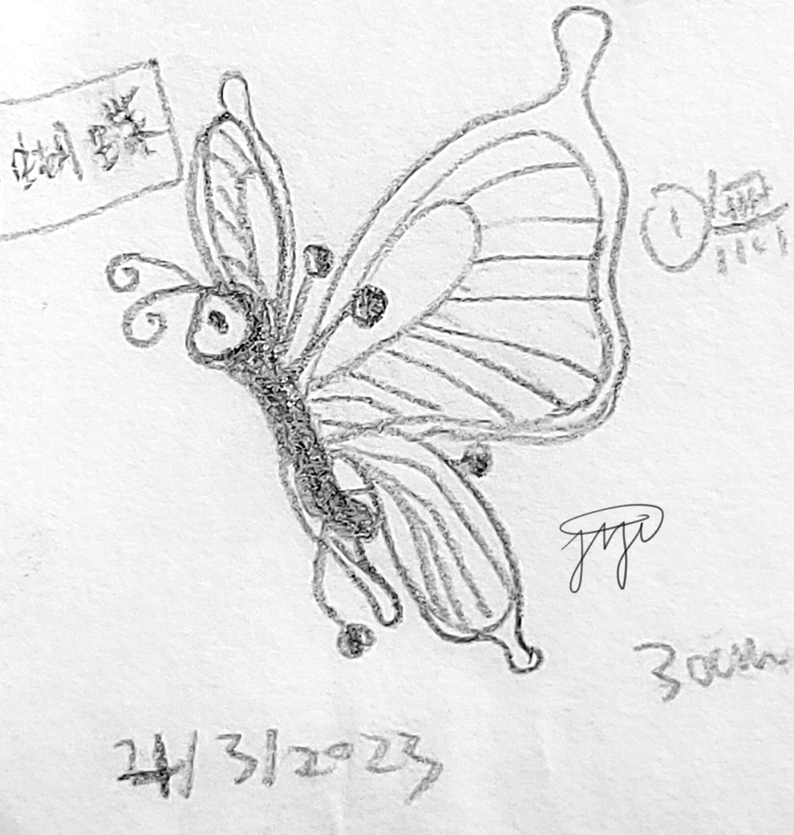 【Papillon】00107