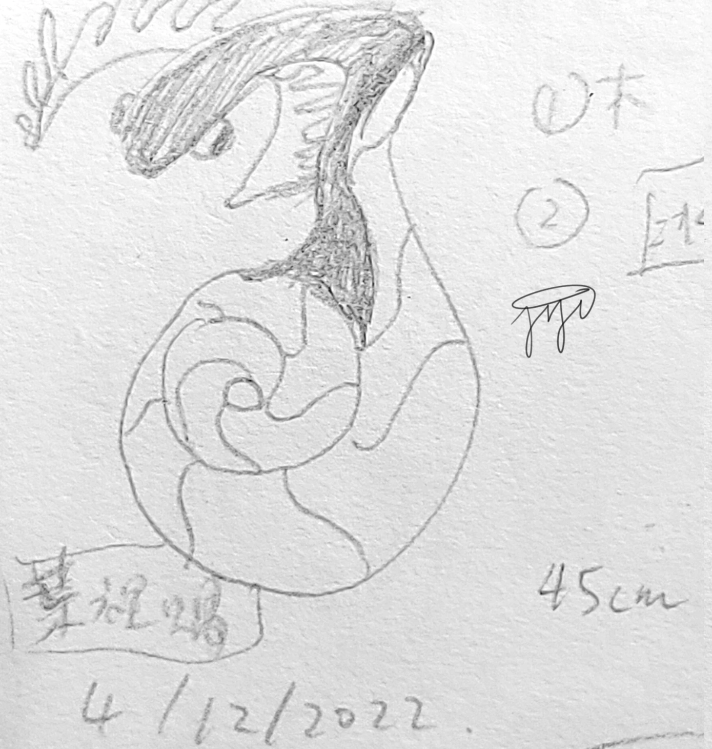 【Snapple】0009