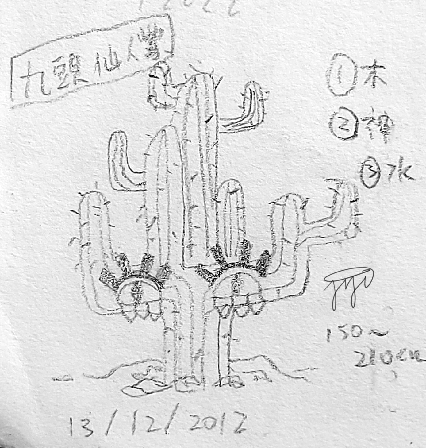 【Nectus 】0019