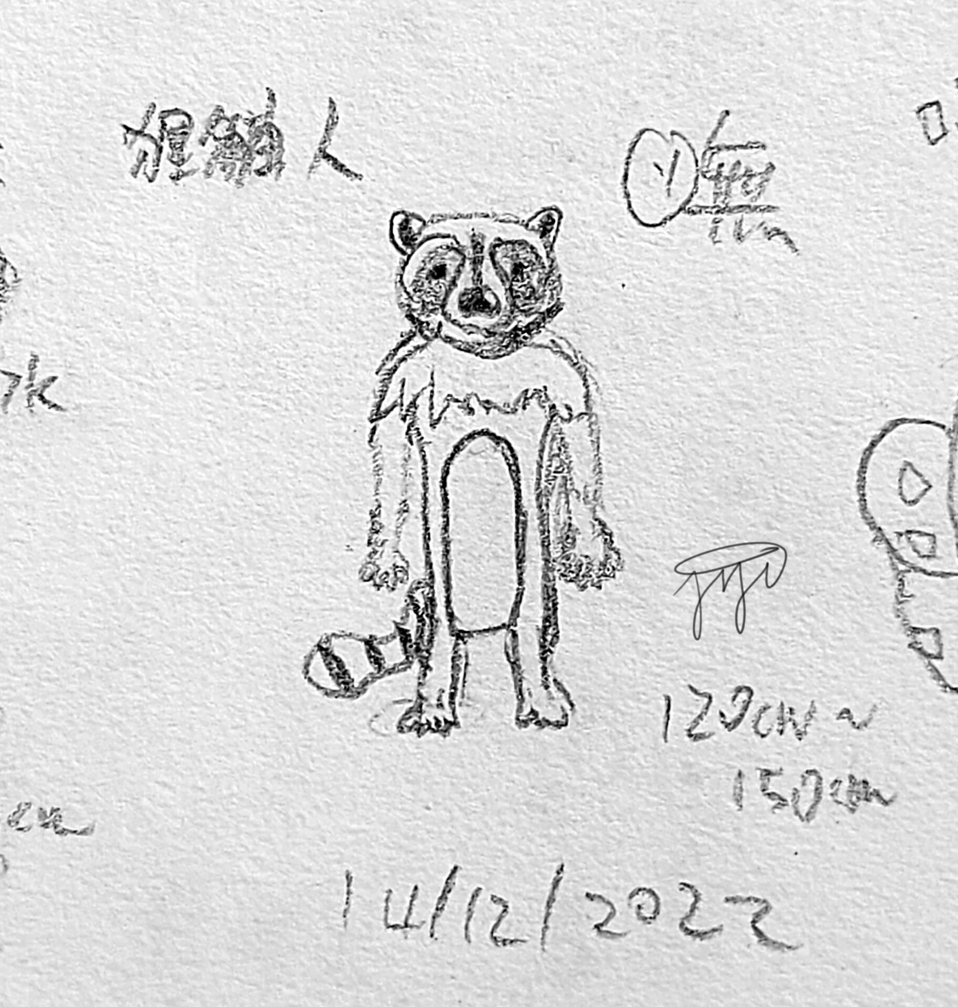 【Raccoonid 】0020