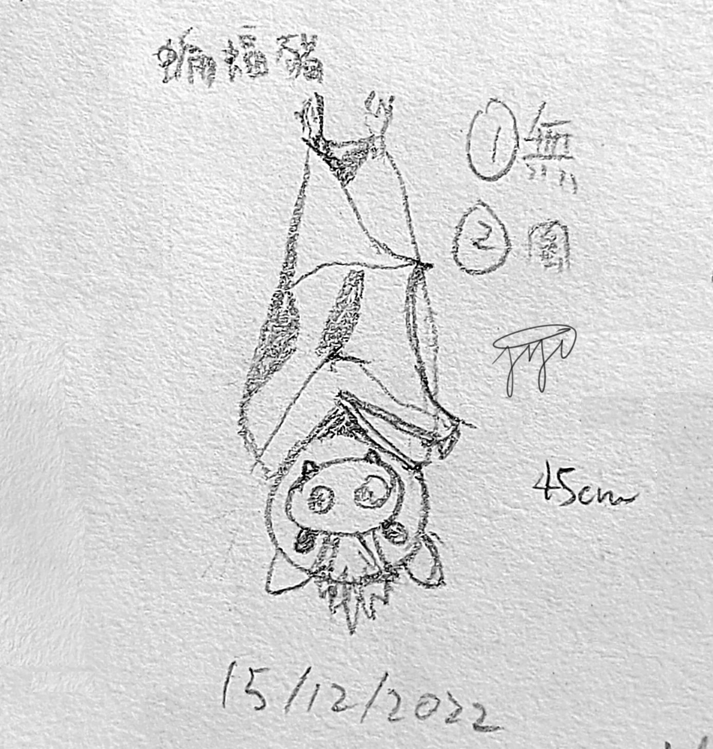 【Bapig】0022