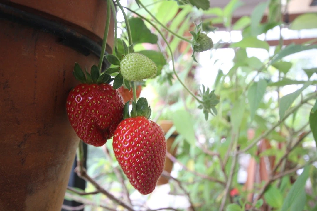 Wealth Protection 225-oujyz1bwf8.jpg