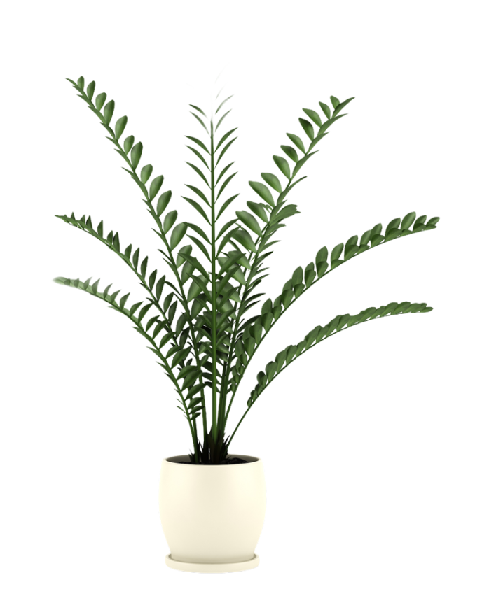 723-image-from-ios-6-1.png