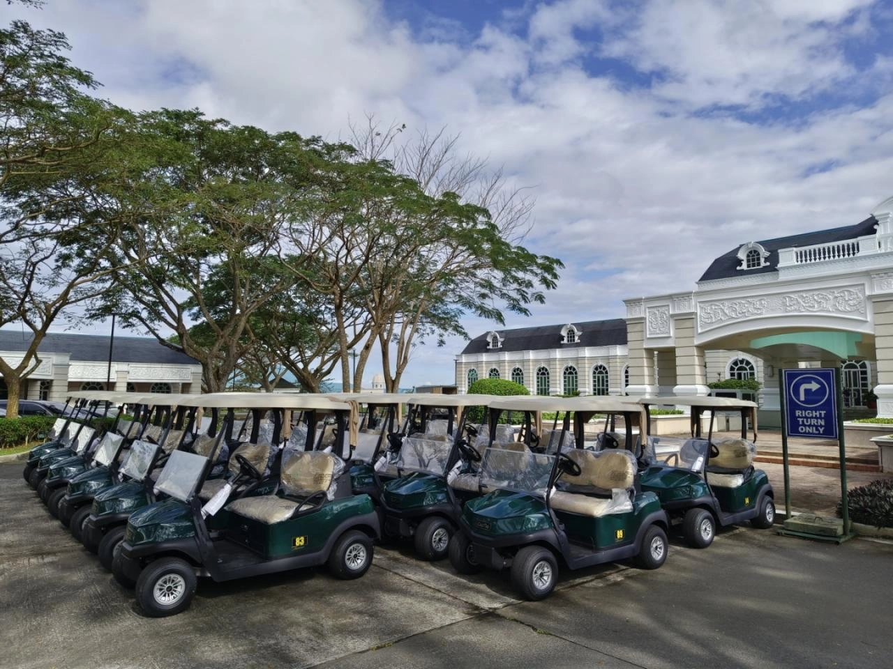 3683-carts7-1746867454822.jpg
