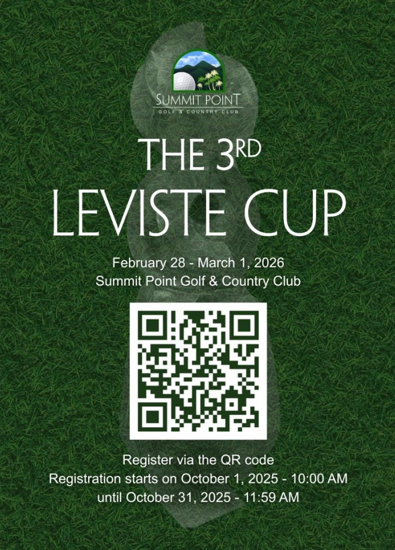 43077510803827-leviste-17592835821884.jpg