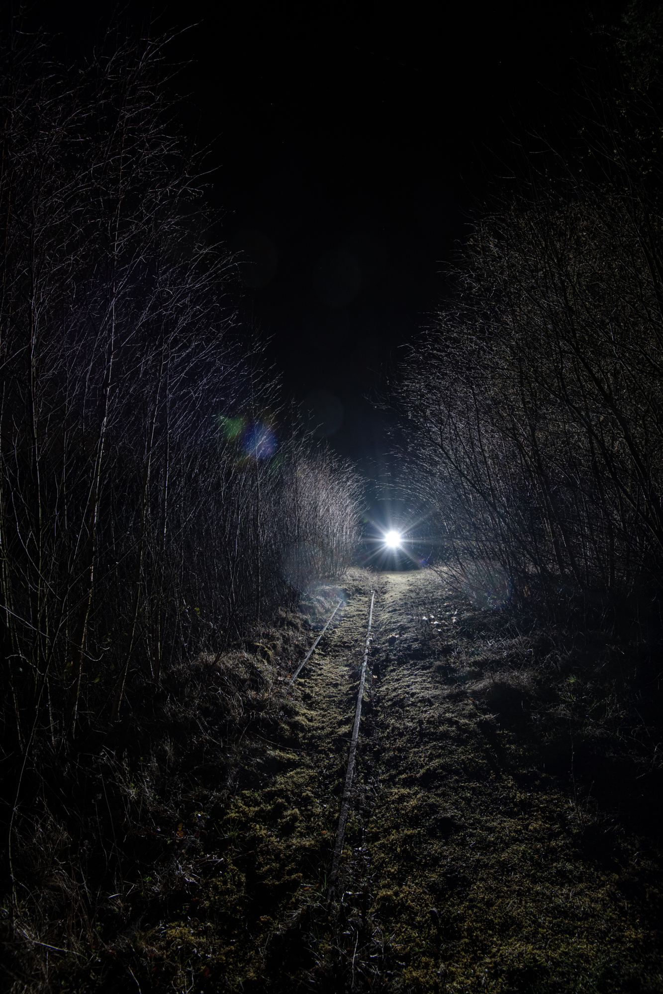 112-motiv-14-dark.jpg