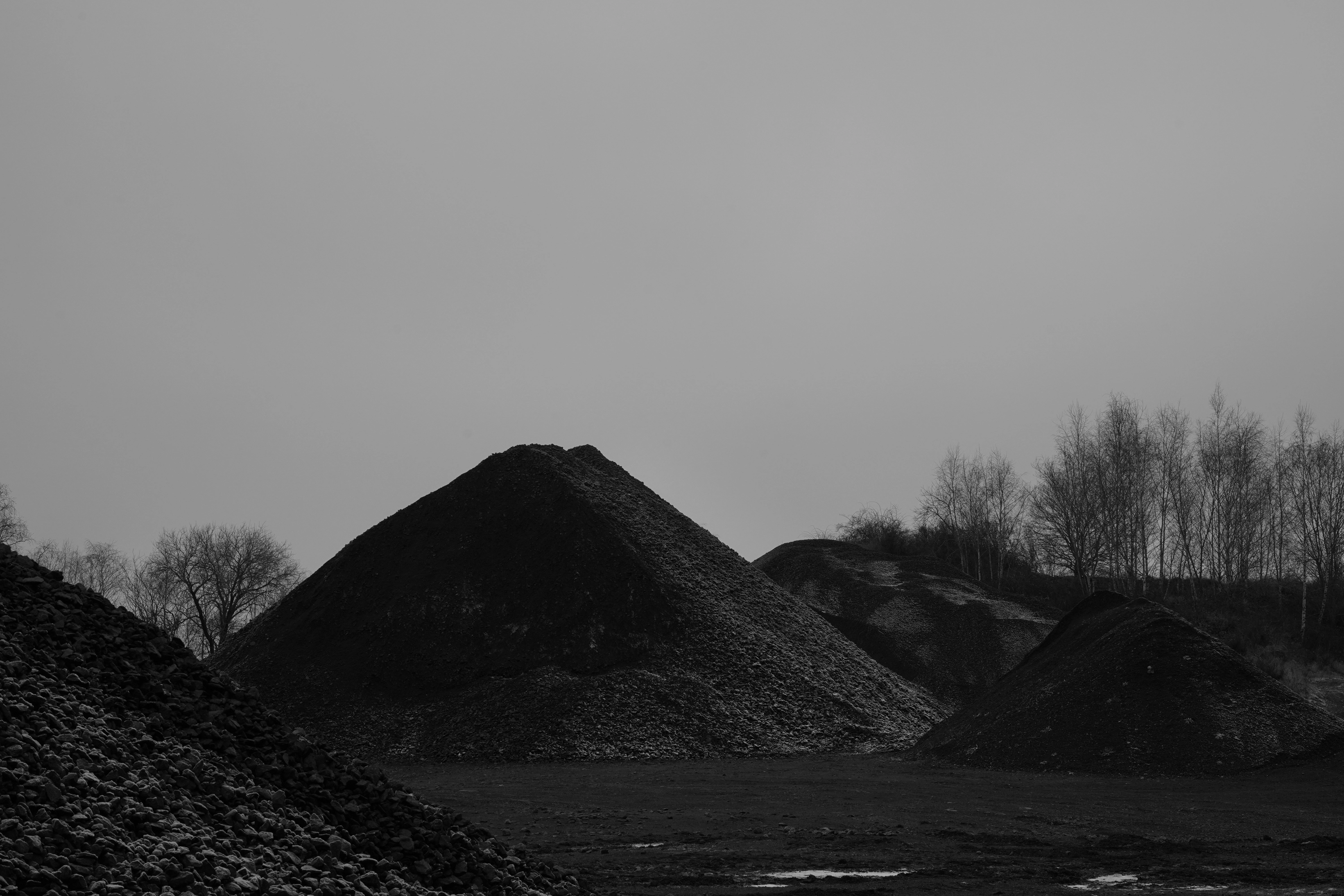 326-dsc09499-17415623243688.jpg