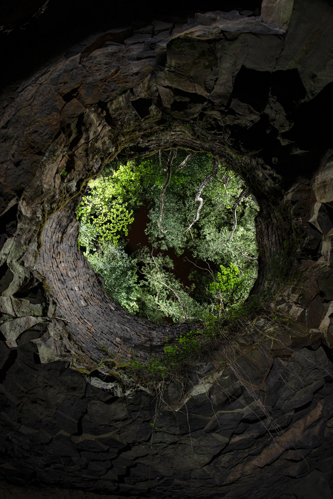 Rabbit Hole 578-rabbit-hole-17015096018585.jpg