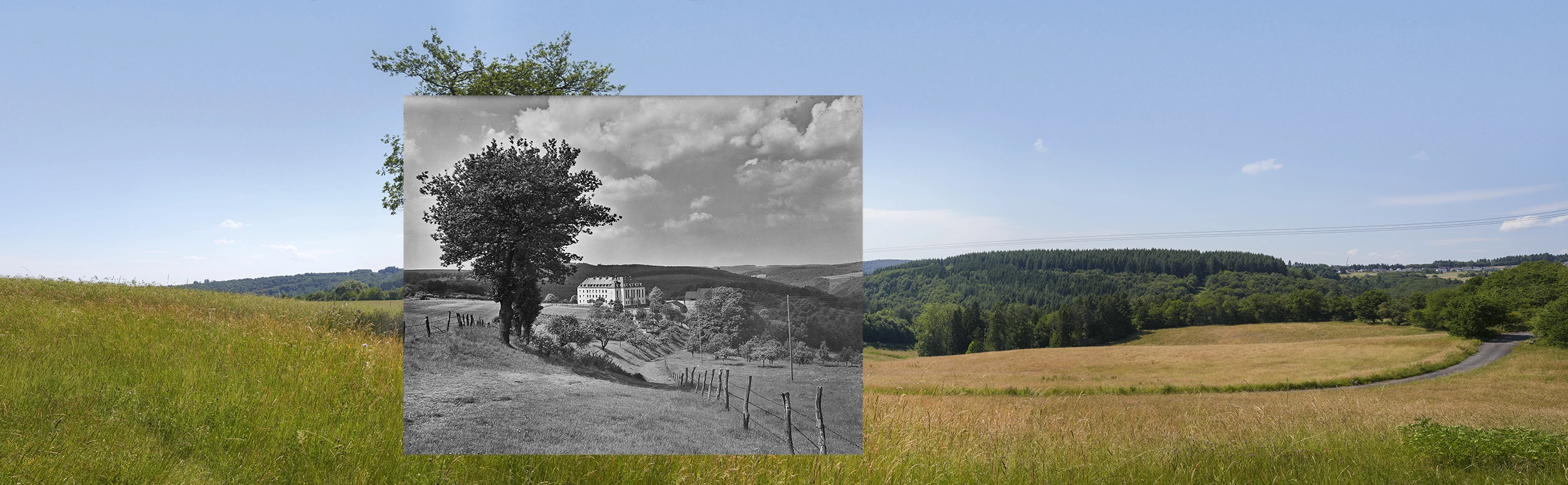916-martentalpanoramainsert-1791804736816.jpg