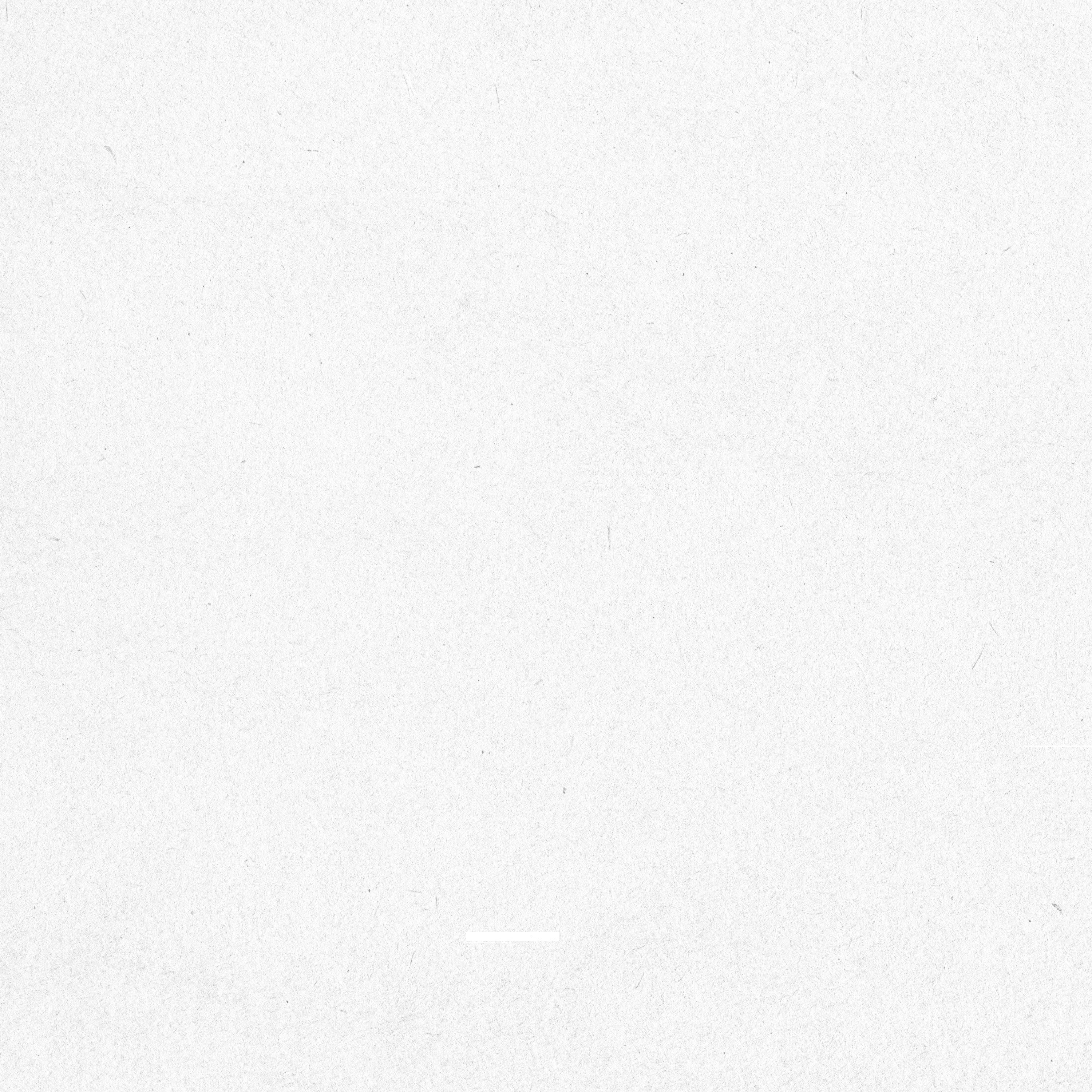 r57-fist---website---white-felt-1782951363996.jpg