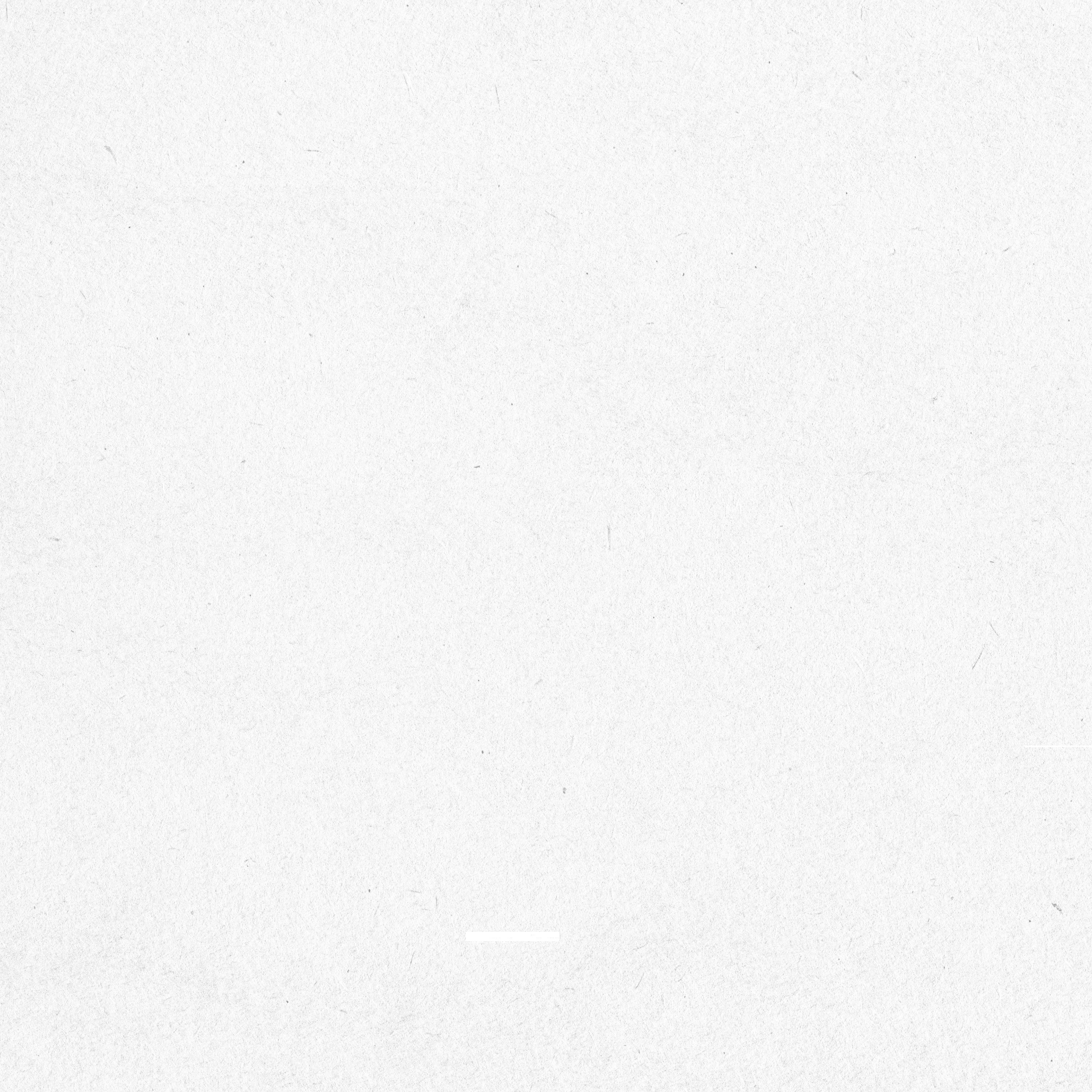 r76-fist---website---white-felt-17829513207651.jpg