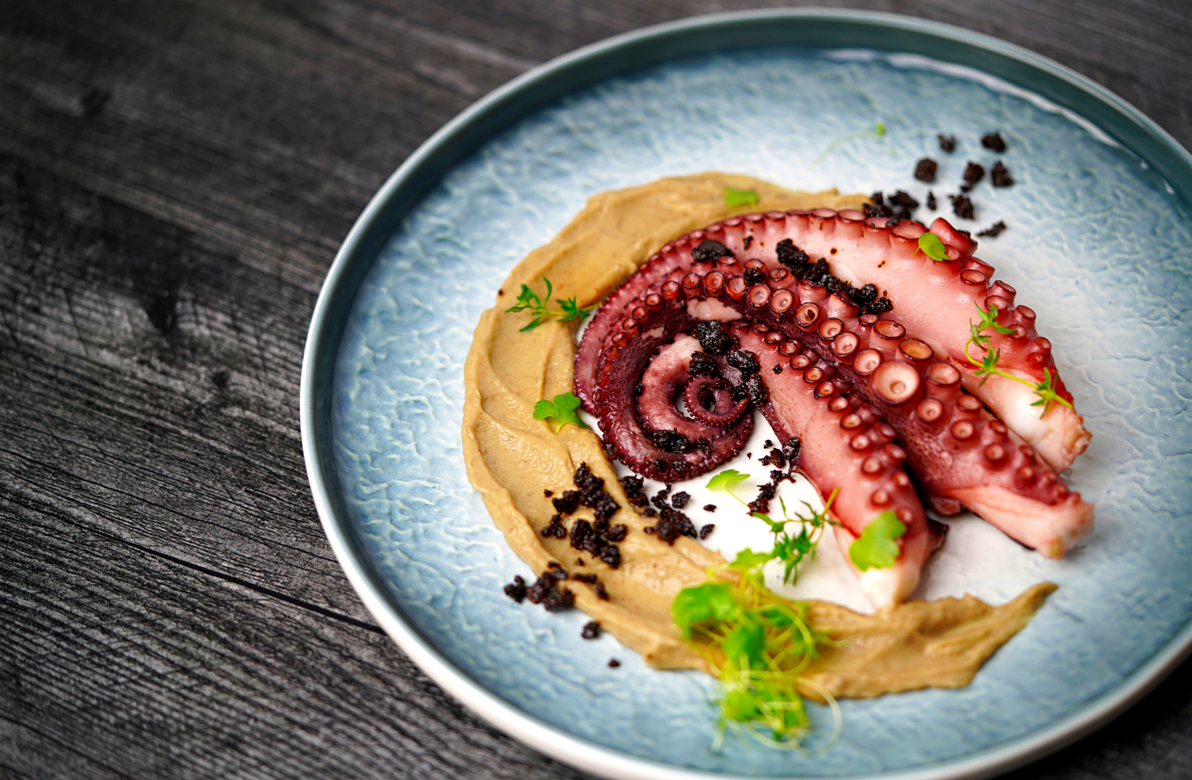 Steamed Octopus, Eggplant Puree and Black Bean Granola