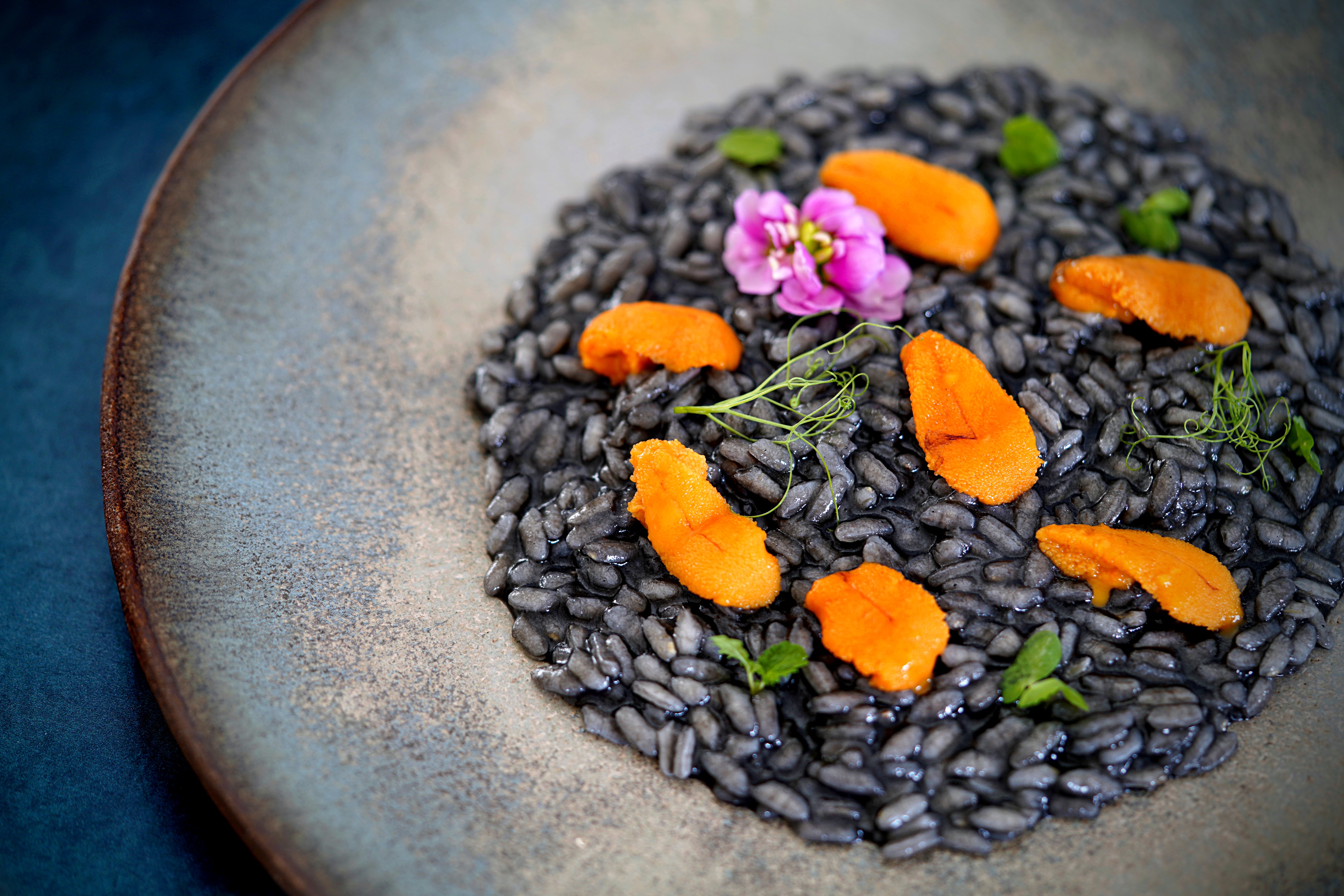 Squid Ink Risotto and Sea Urchin