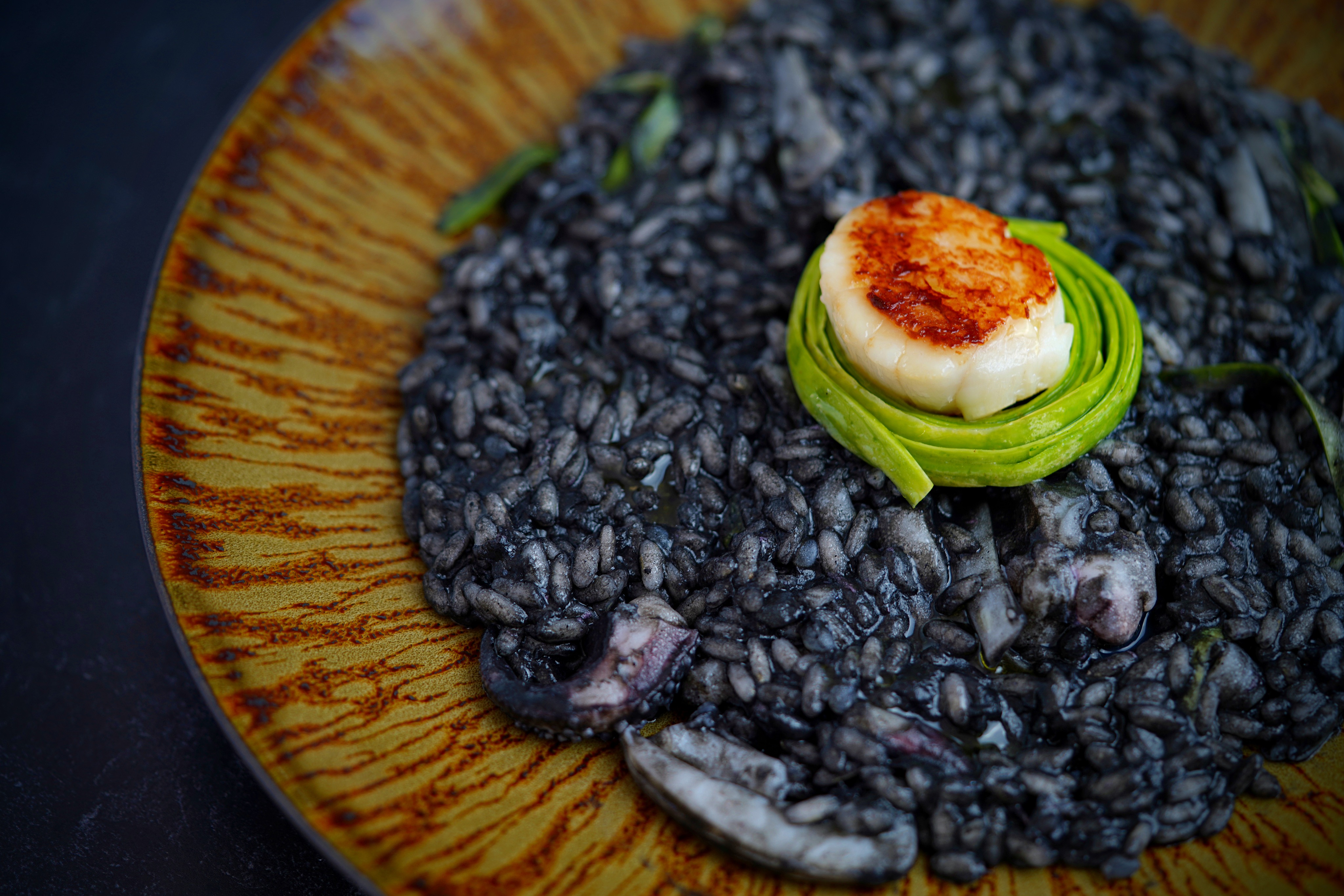 Ink Risotto with Cuttlefish and Scallops