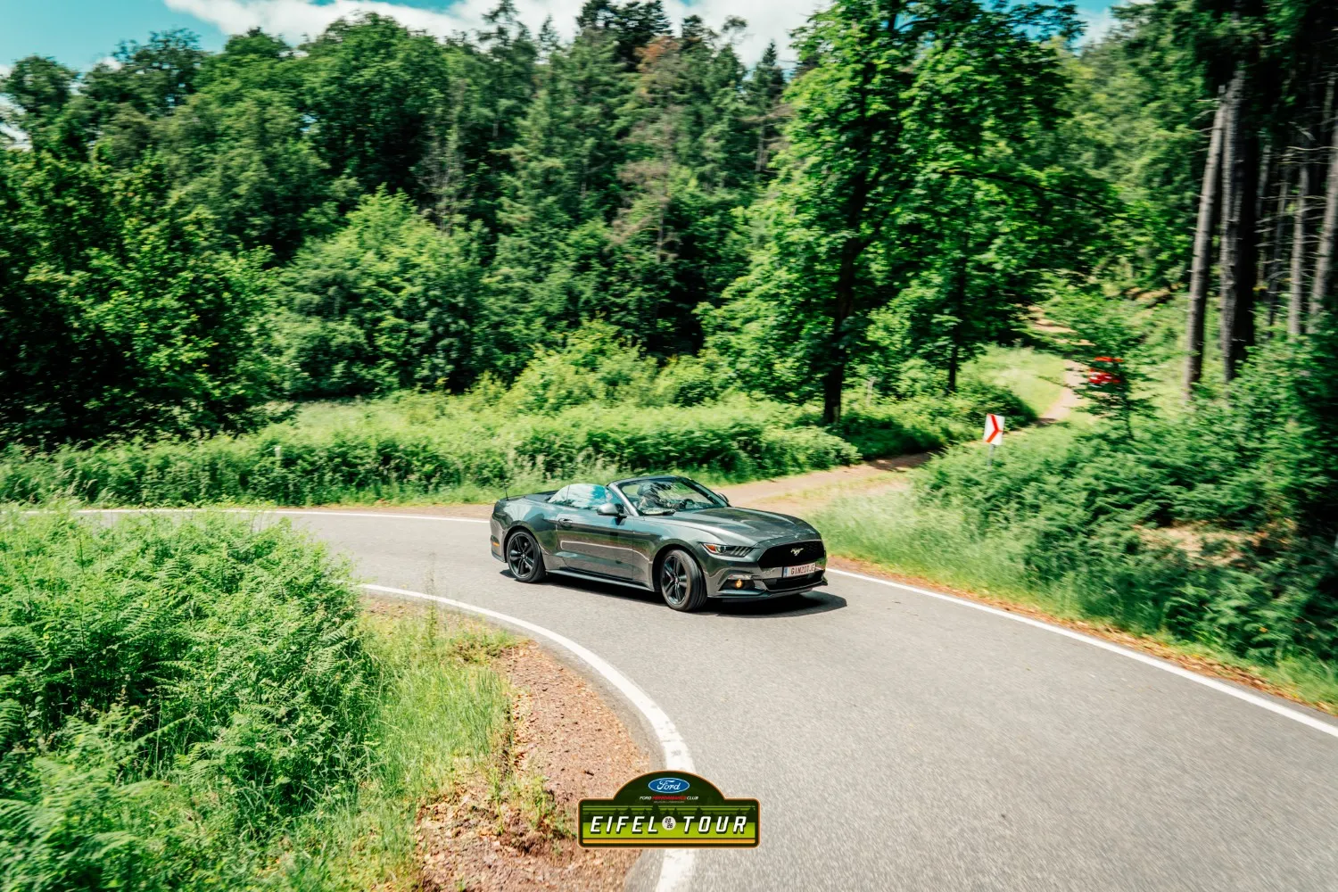 12165-fet26-113-17809999568734.jpg