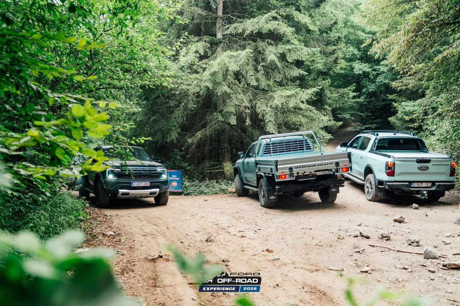 12210-foe26q3-206-1786458911953.jpg