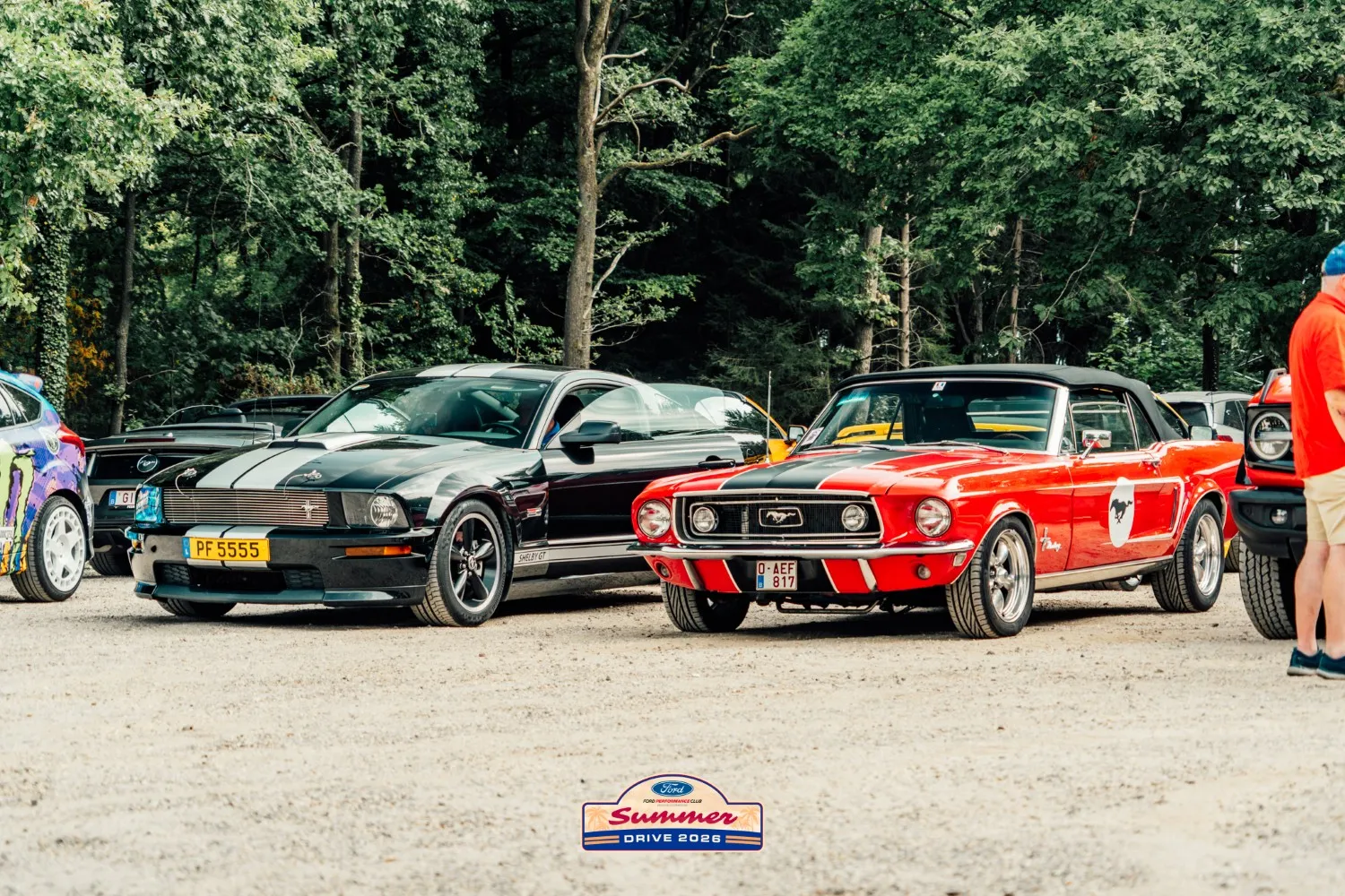 12221-fsd26-039-17870350578709.jpg